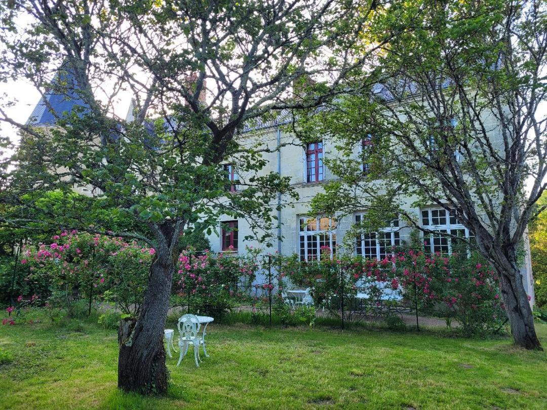 Castel Saint Laurent Langeais Exterior photo